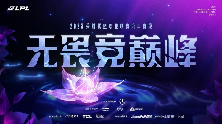 是年度总冠, 号种子, 简单来说