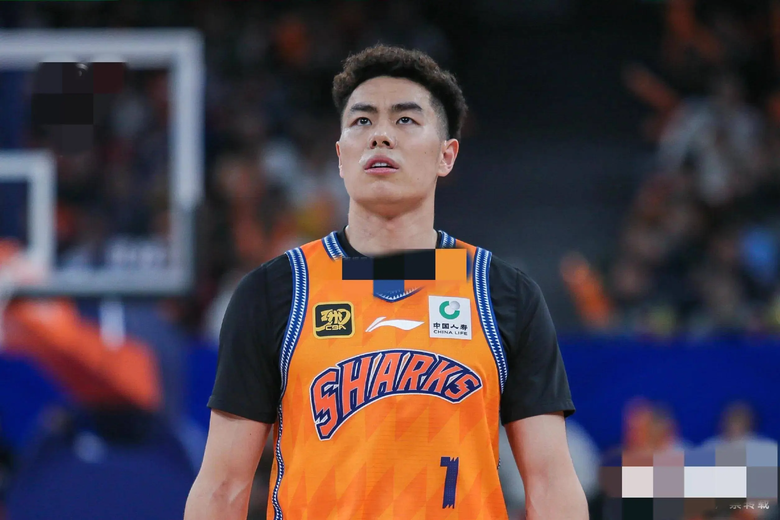 le, 上海男篮 le, 上海男篮