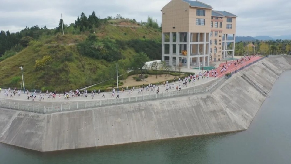 陈星龙, 影视集团 陈星龙, 影视集团