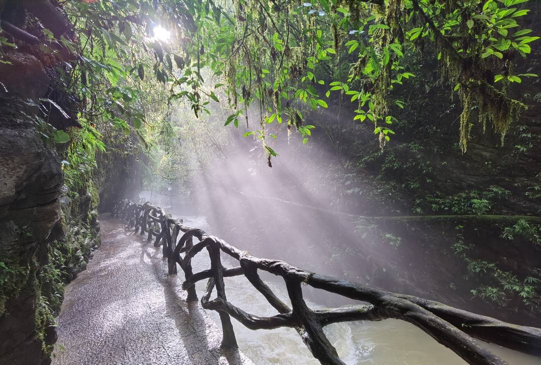 独特的幽默, 的后防线更 独特的幽默, 的后防线更